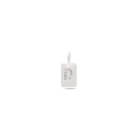 CHARM crystal D pendant, silver-plated CHARM crystal D pendant, silver-plated