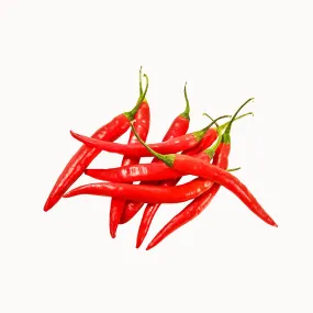 Hot Chilli Pepper Hot Chilli Pepper