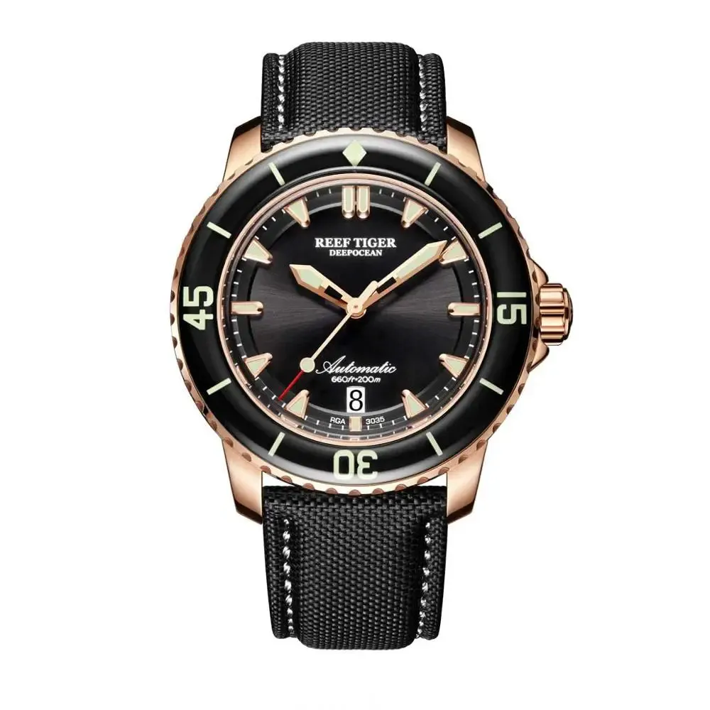 Reef Tiger/RT Super Luminous Dive Watches Mens Analog Automatic Blue Dial Clock with Date RGA3035